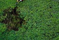 cao国产,历史、文化与现代发展的交融画卷